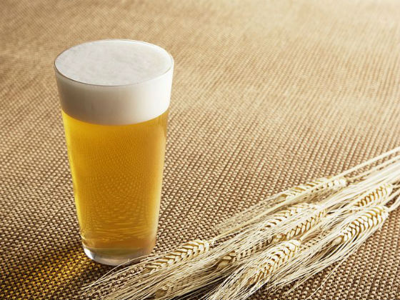 Brasília recebe em setembro o maior festival de cerveja do Centro-Oeste